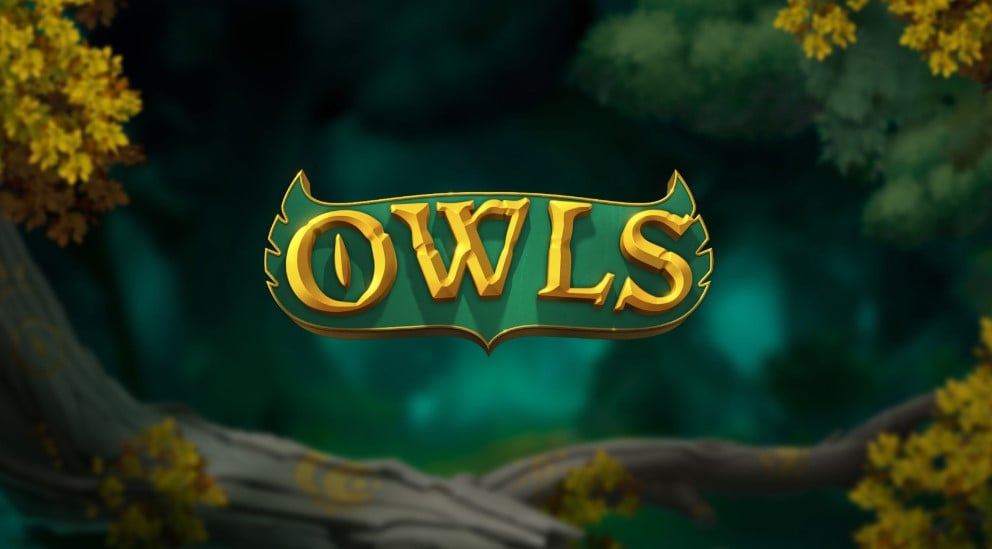 Owls