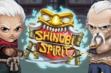 Shinobi Spirit